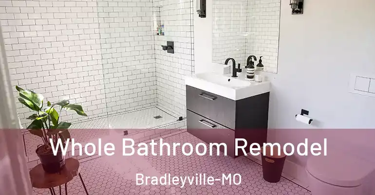 inner Bathroom imggen Whole Bathroom Remodel Bradleyville-MO