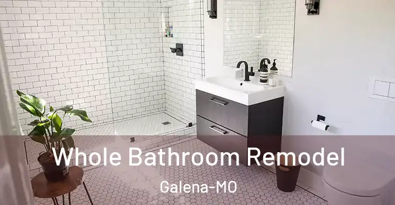 inner Bathroom imggen Whole Bathroom Remodel Galena-MO