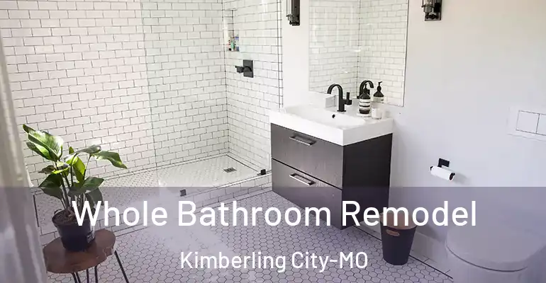 inner Bathroom imggen Whole Bathroom Remodel Kimberling City-MO