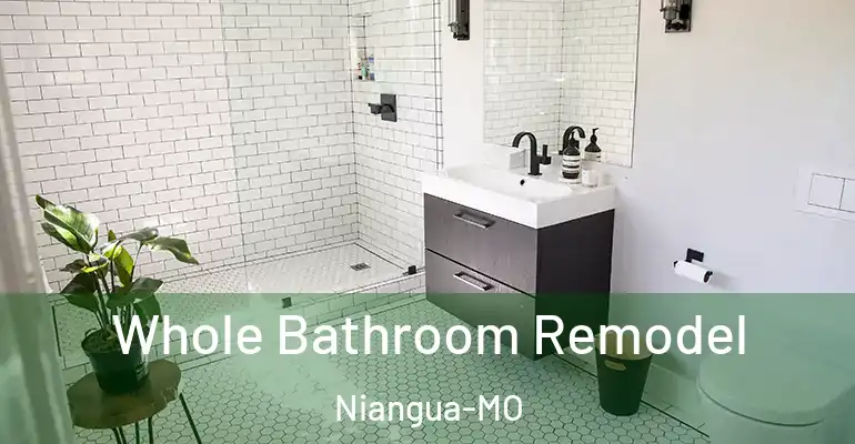 inner Bathroom imggen Whole Bathroom Remodel Niangua-MO