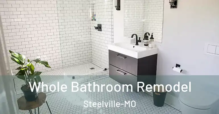 inner Bathroom imggen Whole Bathroom Remodel Steelville-MO
