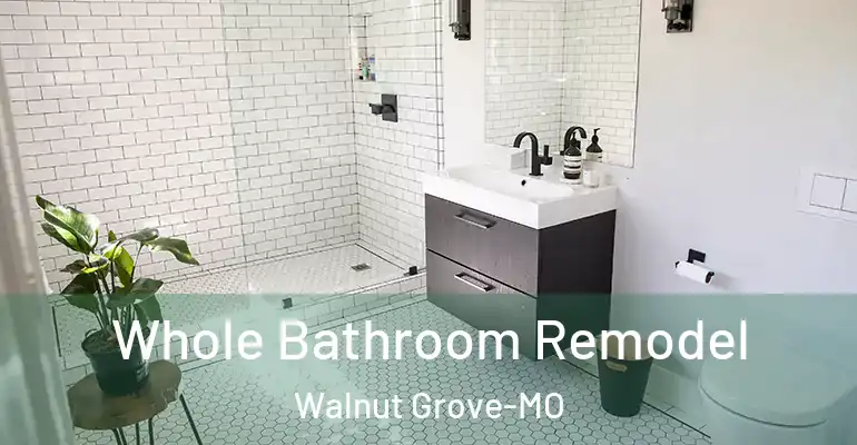 inner Bathroom imggen Whole Bathroom Remodel Walnut Grove-MO